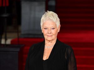 Supporting image for story