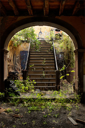 HC. Michael Warrender - Urban Decay