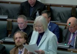 Birmingham Conservative councillor Deirdre Alden. Taken from council webcast.