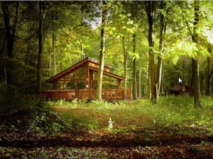 Supporting image for story: New fear sparked on forest cabins in Shropshire border woodland