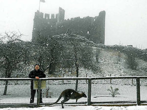 Supporting image for story: Trains and school hit as region gets snow