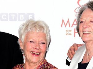 Supporting image for story