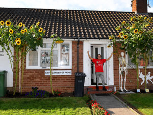 Supporting image for story: Black Country pensioner grows 40 giant sunflowers thanks to good soil and special mountain water