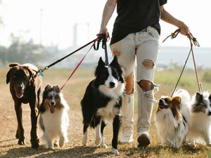 Supporting image for story: Mark Andrews: Wrist injuries for dog walkers, people who wear watches, and Charlie Kirk's shooting