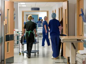 Supporting image for story: Festive gatherings may have led to ‘bounce back’ in winter viruses