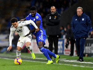 Supporting image for story: Wolves v Cardiff City: The last five meetings 