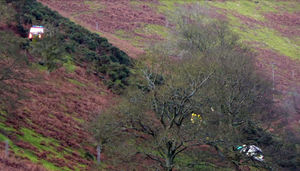 The rescue operation. Photo: Mark Chadwick.