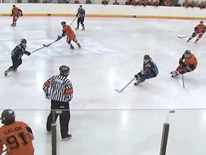 Supporting image for story: Telford Tigers are setting a fierce pace at the top