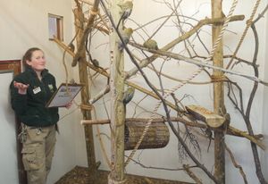 The marmosets have been visited