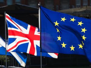 Supporting image for story: Ministers seek EU negotiator to lead reset talks