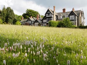 Supporting image for story: Garden scheme takes part in Random Acts of Welshness campaign to celebrate St David’s Day