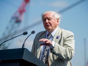 Supporting image for story