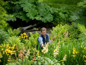 Supporting image for story: Stunning garden to be opened to the public for charity