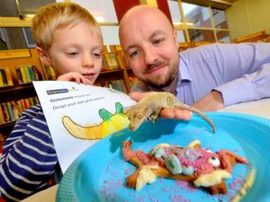 Supporting image for story: Children enjoy Echo the gecko crafts at Market Drayton library