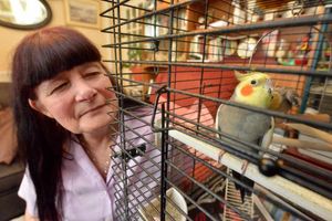 Susan Mallin with one of her other birds