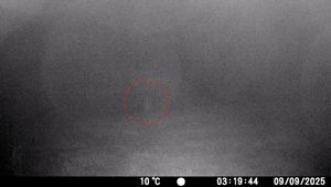 The spooky shape of what could be a ghost roaming the grounds of Longleat House.