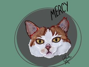 Supporting image for story: Watch Shropshire artist sketch cats who need homes live in bid to help re-home rescue centre strays