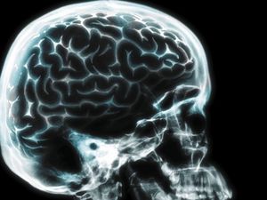 Supporting image for story: This study shows that your brain can detect disease in other people before it actually breaks out