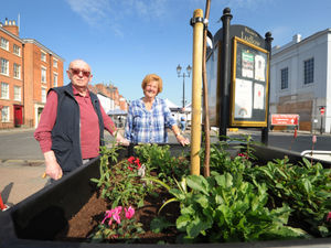 Supporting image for story: Trees will grow in memory of Ludlow resident