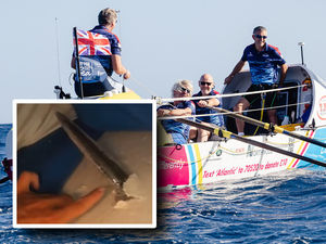 Supporting image for story: Sandwich box to the rescue as Wrekin Rowers' boat pierced by giant marlin in middle of Atlantic