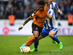 Supporting image for story: Wolves 0 Brighton 2 - player ratings