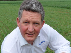 Supporting image for story: Boost those roots with new cereal seed treatment