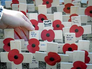 Supporting image for story: Poppy Appeal total hit by tough times