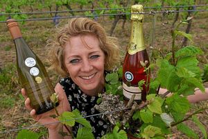 Supporting image for story: Halfpenny Green Vineyards wine's in Wolverhampton top tipple for shops
