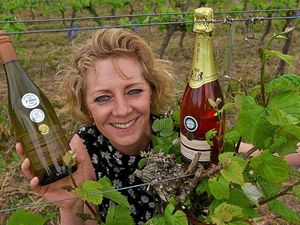Supporting image for story: Halfpenny Green Vineyards wine's in Wolverhampton top tipple for shops