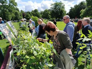 Arley Arboretum Plant Fair