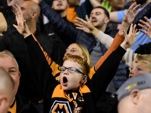 Supporting image for story: Steve Bull column: Table looks brilliant for Wolves at the moment
