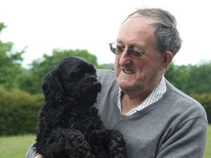 Supporting image for story: School mourns loss of beloved school dog