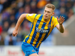 Supporting image for story: We need more – Steve Cotterill tells Shrewsbury Town's Sam Cosgrove