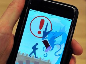 Supporting image for story: 9 tales of drama that prove hobbies aren’t for the fainthearted