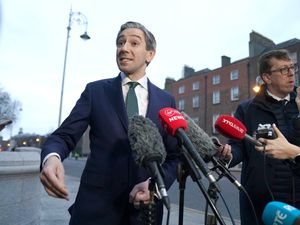 Tanaiste Simon Harris