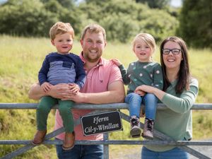 Supporting image for story: Trial helps Powys family farm identify best system for herbal ley establishment