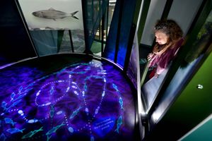 Alex Ball, senior project manager at the Canal & River Trust views the exhibition