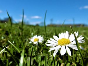 Supporting image for story: UK to be warmer than some Greek islands over Easter with 18C temperatures