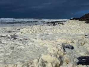 Supporting image for story: Strange foam and dead fish wash ashore at two Australian beaches