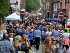Supporting image for story: Bus services operating for Lichfield Greenhill Bower return 
