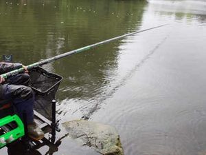 Supporting image for story: Shrewsbury fishing pools back open again after heatwave