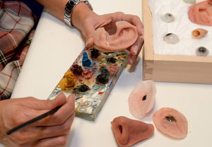 Paint is used to make the prosthetic parts more life-like