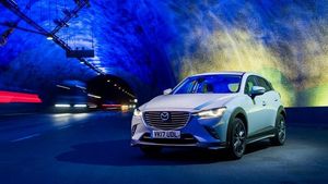 Supporting image for story