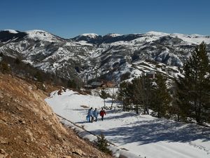 Supporting image for story: Turkish vaccine teams target isolated mountain villages