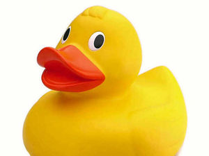 Supporting image for story: Quackers! Bizarre belongings left at Shrewsbury hotels