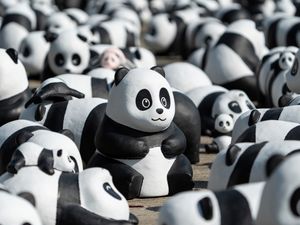 Supporting image for story: Hong Kong launches panda sculpture tour amid tourism drive
