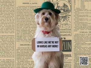 Our Toto is pretty convincing 