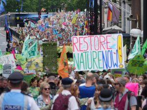 Supporting image for story: Countries gather for UN biodiversity summit to negotiate halting nature crisis