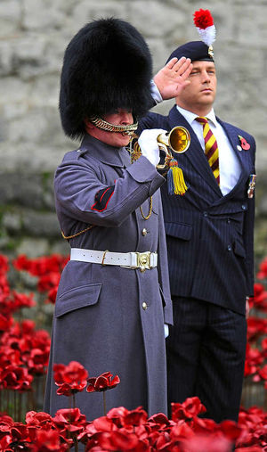 Ex-Captain Anthony Harris salutes the fallen at The Tower of London