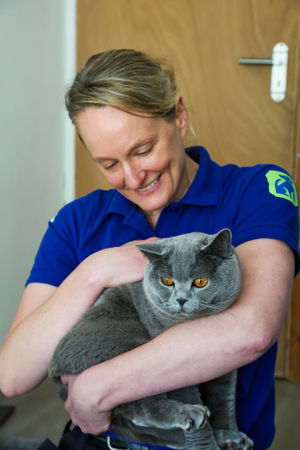 Benito was found to be hand shy, and also reserved